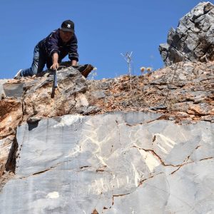 Demir in Quarry GO1B