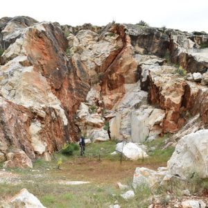 Quarry AL4D