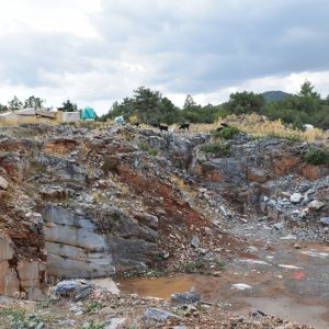 Quarry GO1B