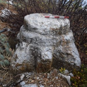 Quarry PR54. Unfinished Corinthian capital