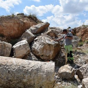 Qyarry AL1P. Roughly worked column shaft