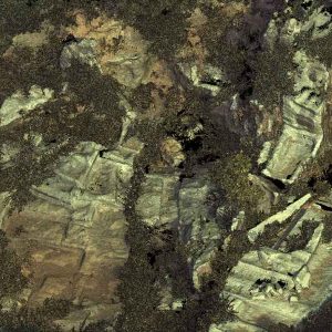 E9A traces