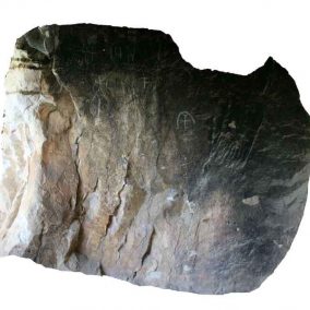 Area 06